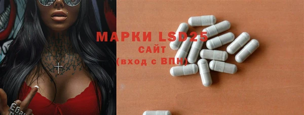 индика Михайловка