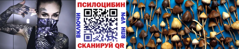 Купить где  Крым  Псилоцибиновые грибы Psilocybe 